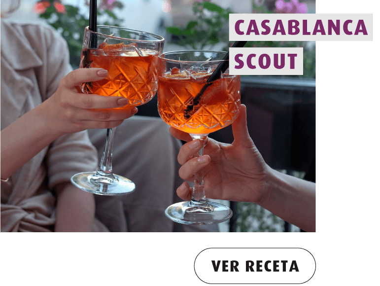 Casablanca-Scout2