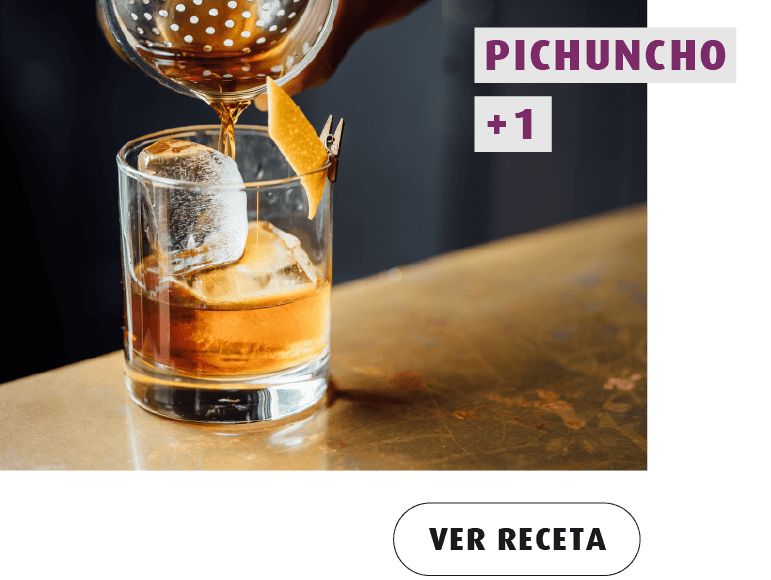 Pichuncho_+1_Receta